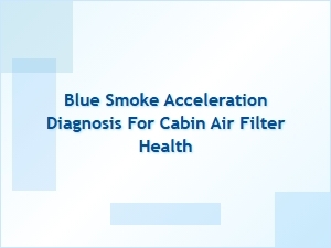 Diagnosing Blue Smoke for Air Filter Health